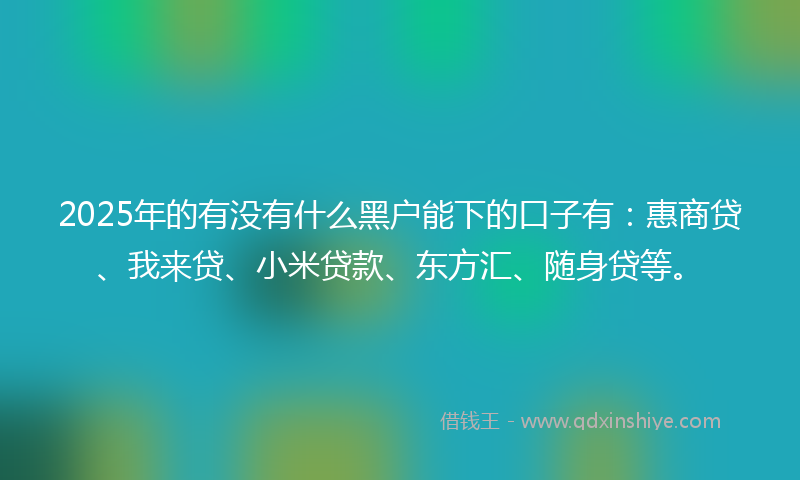 2025年的有没有什么黑户能下的口子有：惠商贷、我来贷、小米贷款、东方汇、随身贷等。