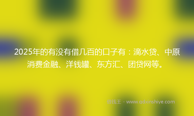 2025年的有没有借几百的口子有：滴水贷、中原消费金融、洋钱罐、东方汇、团贷网等。