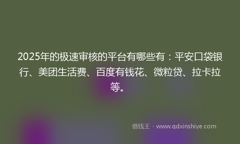 2025年的极速审核的平台有哪些有：平安口袋银行、美团生活费、百度有钱花、微粒贷、拉卡拉等。