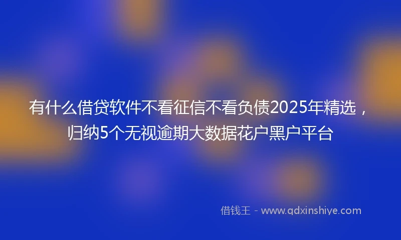 有什么借贷软件不看征信不看负债2025年精选，归纳5个无视逾期大数据花户黑户平台