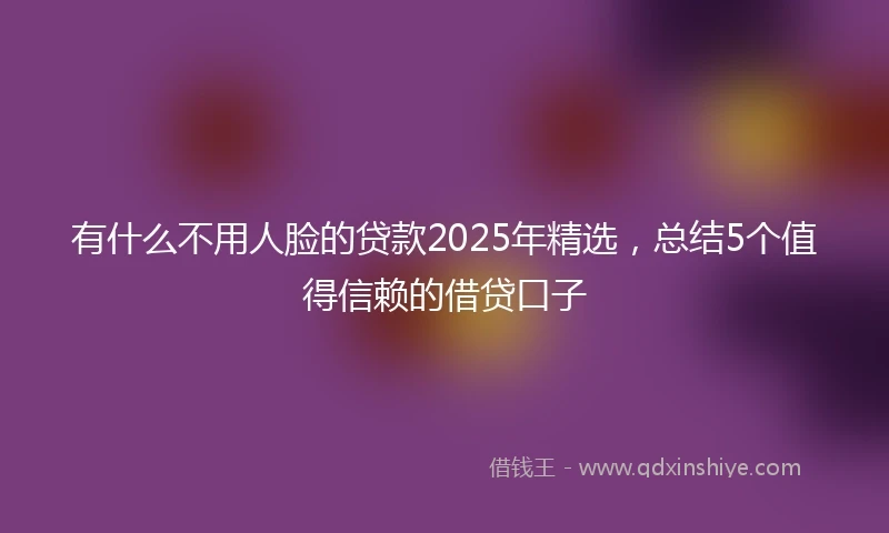 有什么不用人脸的贷款2025年精选，总结5个值得信赖的借贷口子