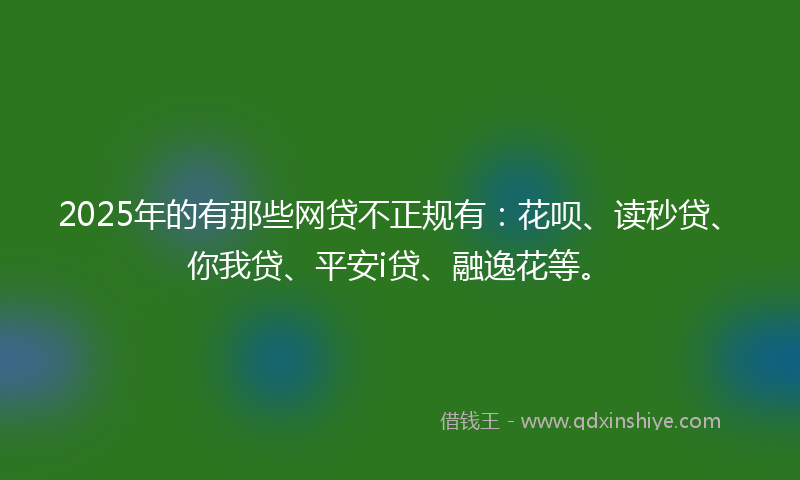 2025年的有那些网贷不正规有：花呗、读秒贷、你我贷、平安i贷、融逸花等。
