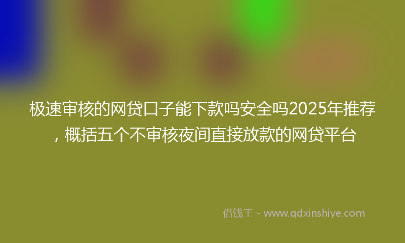 极速审核的网贷口子能下款吗安全吗2025年推荐，概括五个不审核夜间直接放款的网贷平台