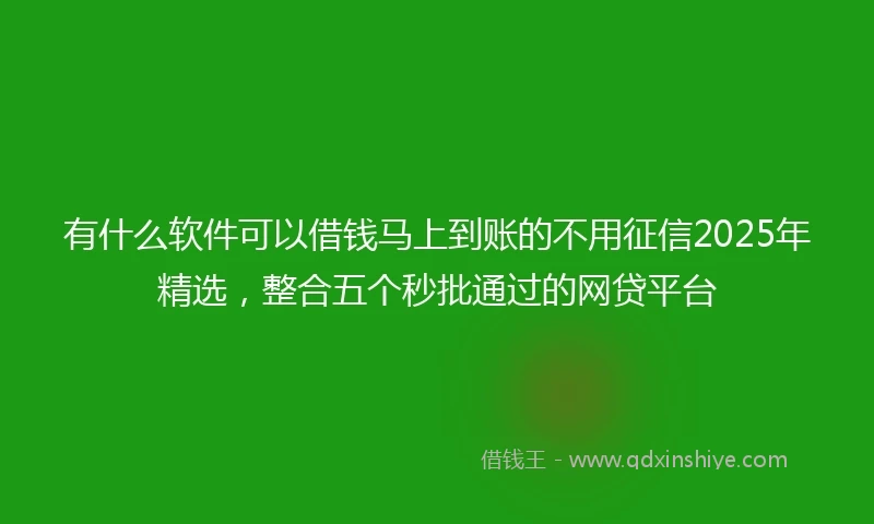 有什么软件可以借钱马上到账的不用征信2025年精选，整合五个秒批通过的网贷平台