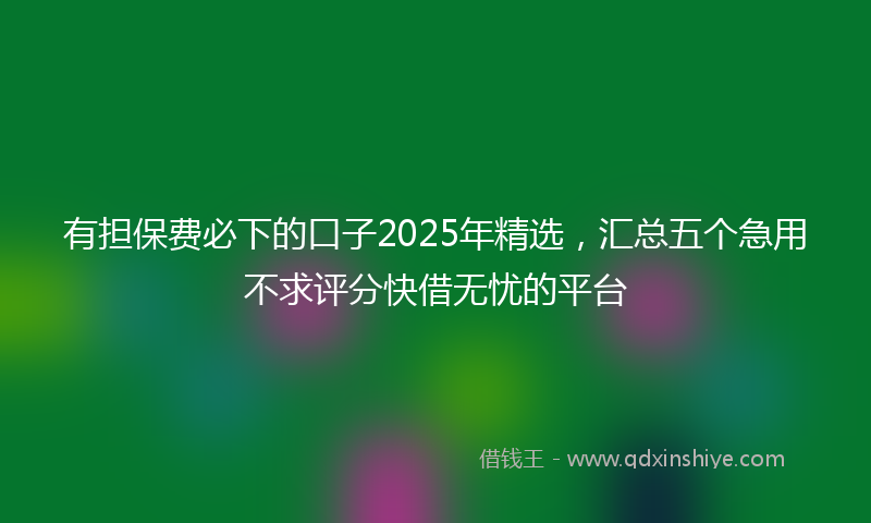 有担保费必下的口子2025年精选，汇总五个急用不求评分快借无忧的平台