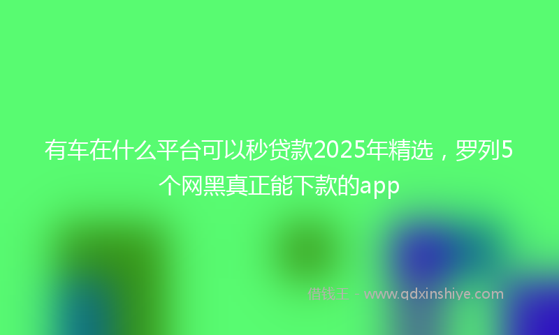 有车在什么平台可以秒贷款2025年精选，罗列5个网黑真正能下款的app