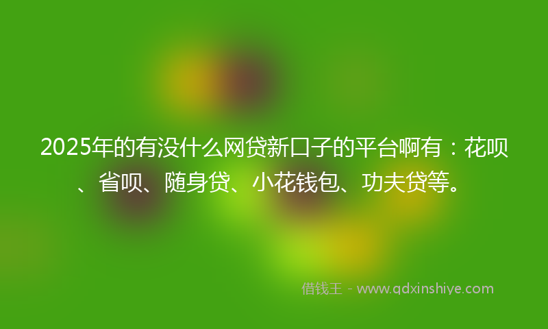 2025年的有没什么网贷新口子的平台啊有：花呗、省呗、随身贷、小花钱包、功夫贷等。