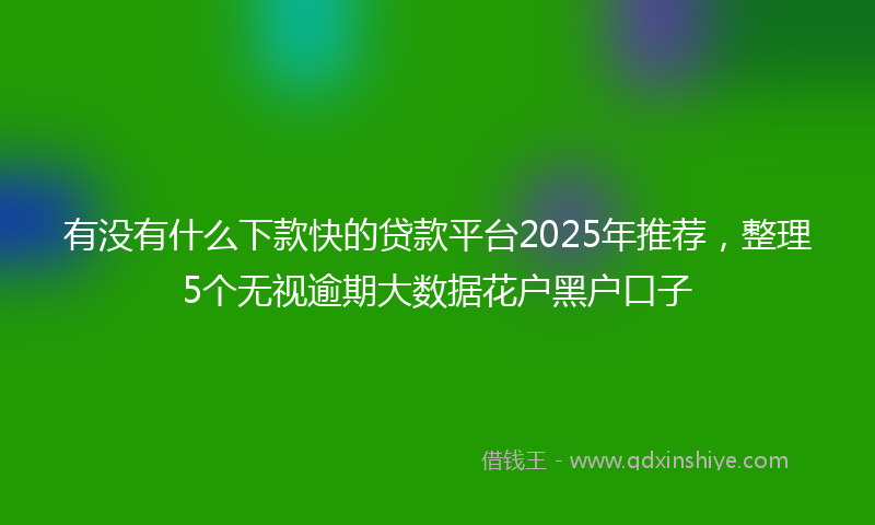 有没有什么下款快的贷款平台2025年推荐，整理5个无视逾期大数据花户黑户口子
