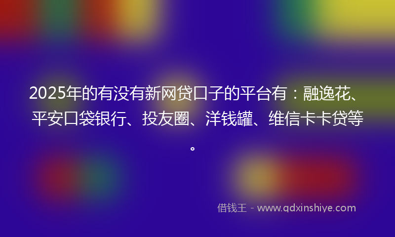 2025年的有没有新网贷口子的平台有：融逸花、平安口袋银行、投友圈、洋钱罐、维信卡卡贷等。