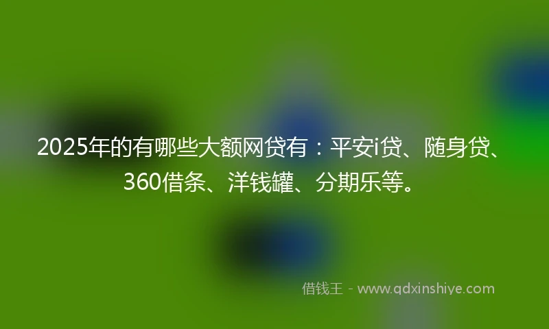 2025年的有哪些大额网贷有：平安i贷、随身贷、360借条、洋钱罐、分期乐等。