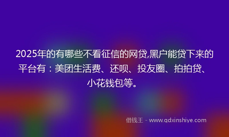 2025年的有哪些不看征信的网贷,黑户能贷下来的平台有：美团生活费、还呗、投友圈、拍拍贷、小花钱包等。