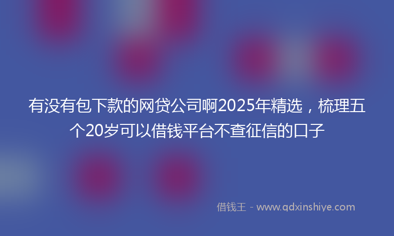 有没有包下款的网贷公司啊2025年精选，梳理五个20岁可以借钱平台不查征信的口子
