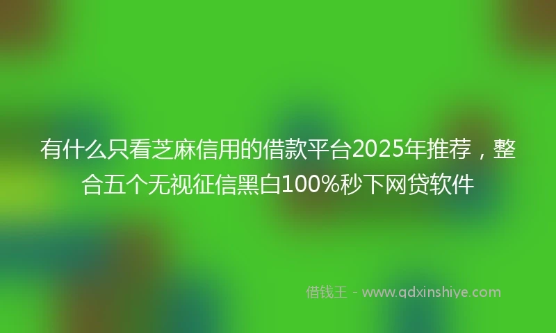 有什么只看芝麻信用的借款平台2025年推荐，整合五个无视征信黑白100%秒下网贷软件