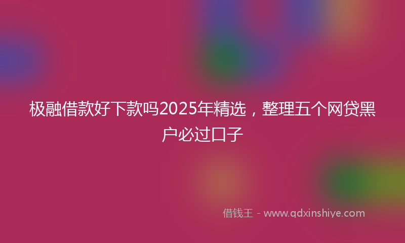 极融借款好下款吗2025年精选，整理五个网贷黑户必过口子