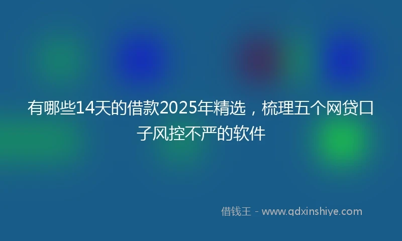 有哪些14天的借款2025年精选，梳理五个网贷口子风控不严的软件