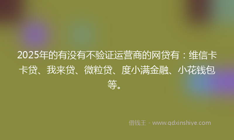 2025年的有没有不验证运营商的网贷有：维信卡卡贷、我来贷、微粒贷、度小满金融、小花钱包等。