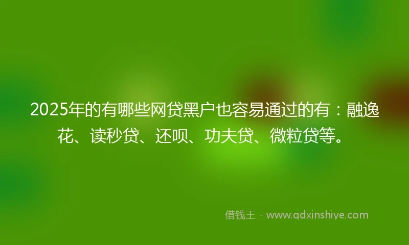 2025年的有哪些网贷黑户也容易通过的有：融逸花、读秒贷、还呗、功夫贷、微粒贷等。