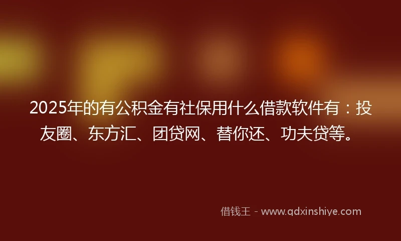 2025年的有公积金有社保用什么借款软件有：投友圈、东方汇、团贷网、替你还、功夫贷等。