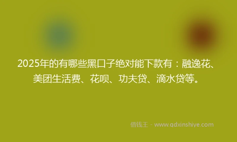 2025年的有哪些黑口子绝对能下款有：融逸花、美团生活费、花呗、功夫贷、滴水贷等。