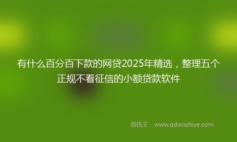 有什么百分百下款的网贷2025年精选，整理五个正规不看征信的小额贷款软件