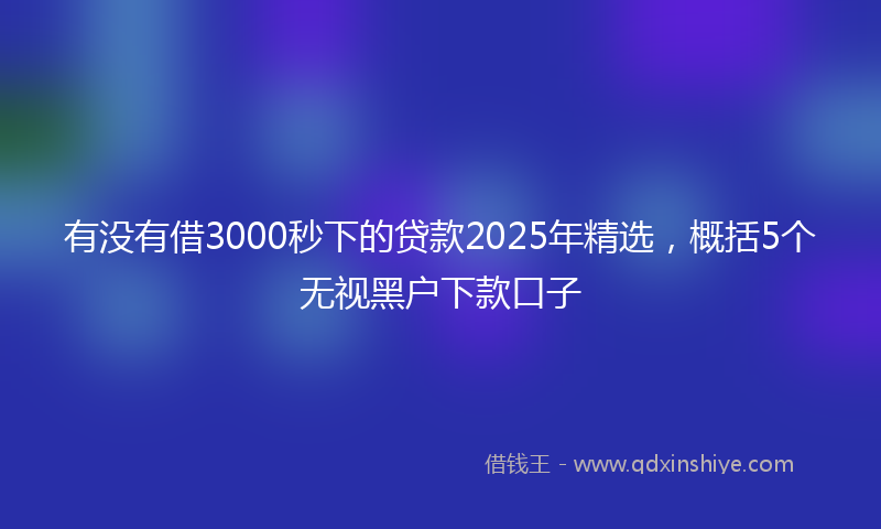 有没有借3000秒下的贷款2025年精选，概括5个无视黑户下款口子