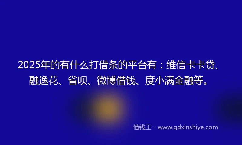2025年的有什么打借条的平台有:维信卡卡贷、融逸花、省呗、微博借钱、度小满金融等。