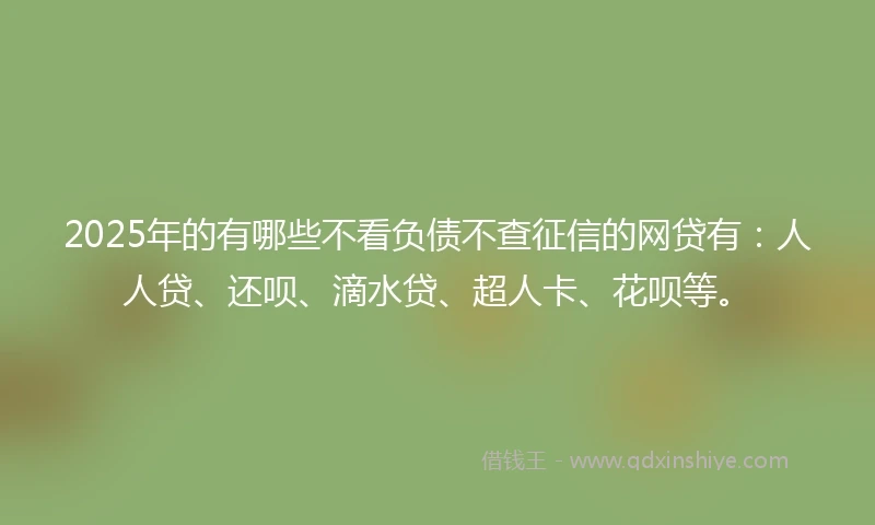 2025年的有哪些不看负债不查征信的网贷有：人人贷、还呗、滴水贷、超人卡、花呗等。