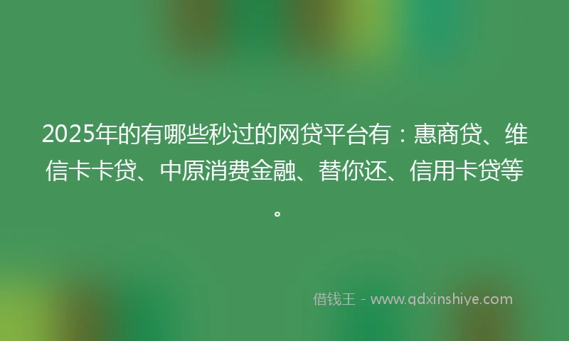 2025年的有哪些秒过的网贷平台有：惠商贷、维信卡卡贷、中原消费金融、替你还、信用卡贷等。