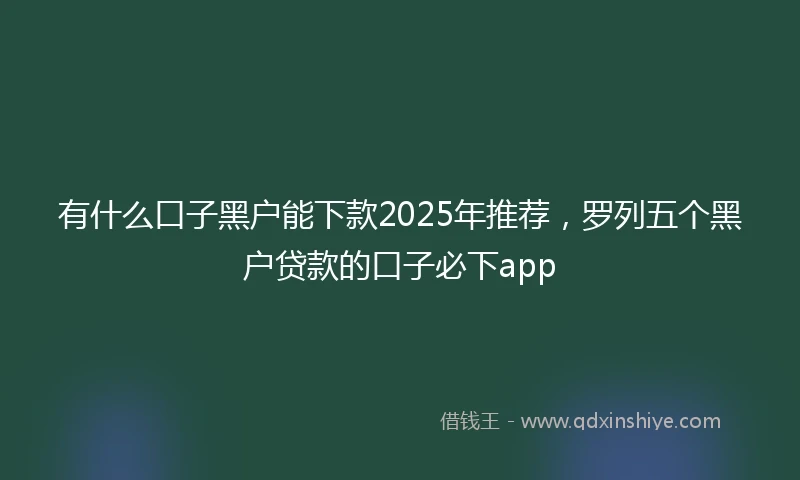 有什么口子黑户能下款2025年推荐，罗列五个黑户贷款的口子必下app