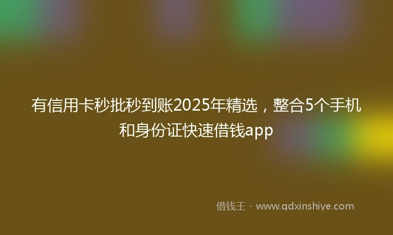 有信用卡秒批秒到账2025年精选，整合5个手机和身份证快速借钱app