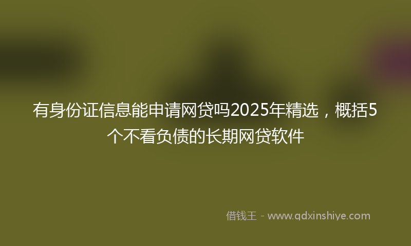 有身份证信息能申请网贷吗2025年精选，概括5个不看负债的长期网贷软件