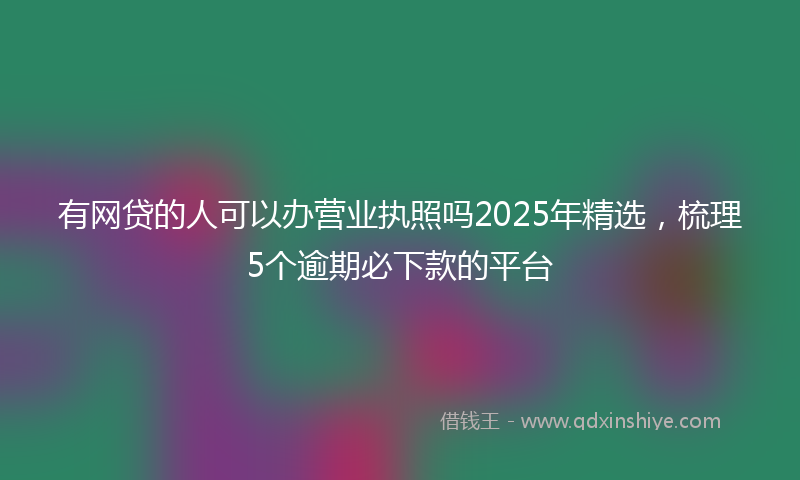 有网贷的人可以办营业执照吗2025年精选，梳理5个逾期必下款的平台