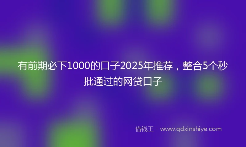 有前期必下1000的口子2025年推荐，整合5个秒批通过的网贷口子