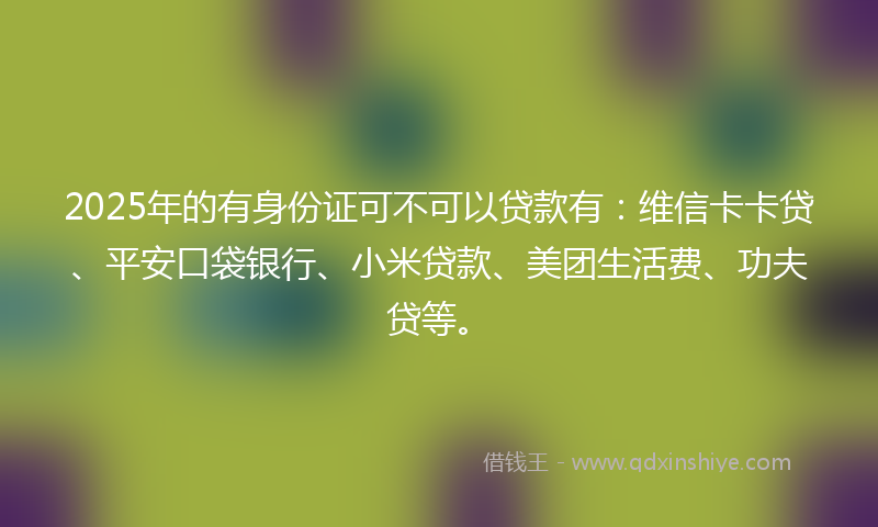 2025年的有身份证可不可以贷款有：维信卡卡贷、平安口袋银行、小米贷款、美团生活费、功夫贷等。