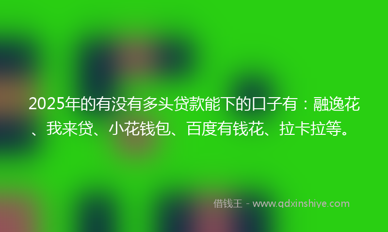 2025年的有没有多头贷款能下的口子有：融逸花、我来贷、小花钱包、百度有钱花、拉卡拉等。