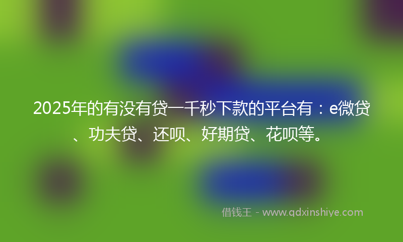 2025年的有没有贷一千秒下款的平台有：e微贷、功夫贷、还呗、好期贷、花呗等。