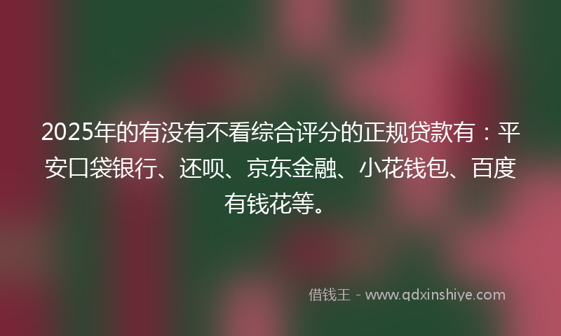 2025年的有没有不看综合评分的正规贷款有：平安口袋银行、还呗、京东金融、小花钱包、百度有钱花等。
