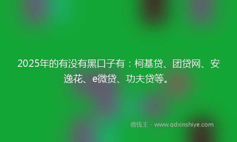 2025年的有没有黑口子有：柯基贷、团贷网、安逸花、e微贷、功夫贷等。