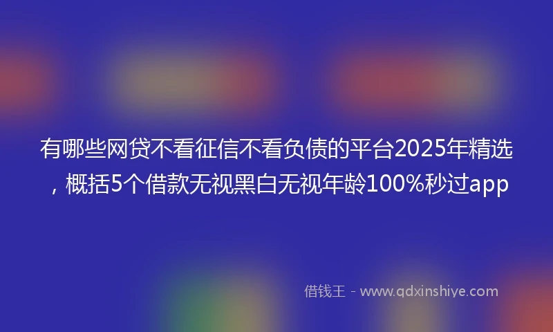 有哪些网贷不看征信不看负债的平台2025年精选，概括5个借款无视黑白无视年龄100%秒过app
