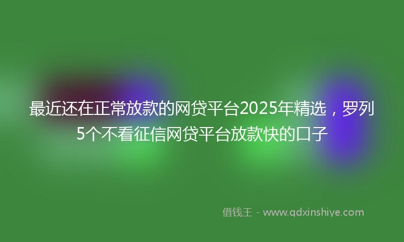 最近还在正常放款的网贷平台2025年精选，罗列5个不看征信网贷平台放款快的口子