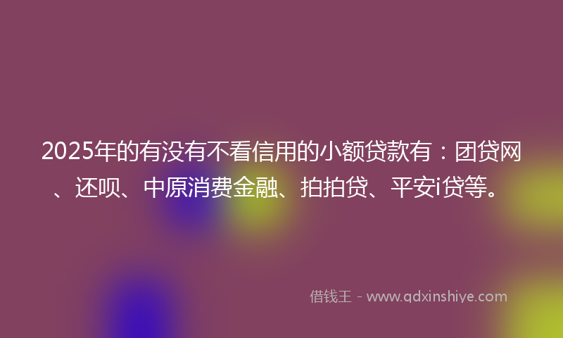2025年的有没有不看信用的小额贷款有：团贷网、还呗、中原消费金融、拍拍贷、平安i贷等。