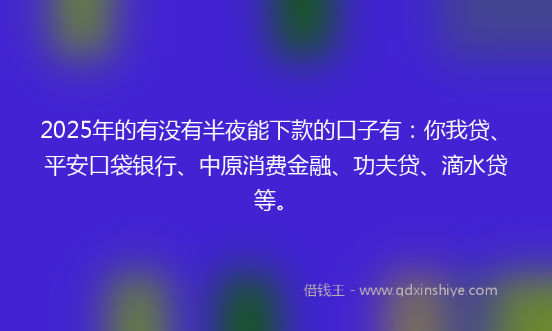 2025年的有没有半夜能下款的口子有：你我贷、平安口袋银行、中原消费金融、功夫贷、滴水贷等。