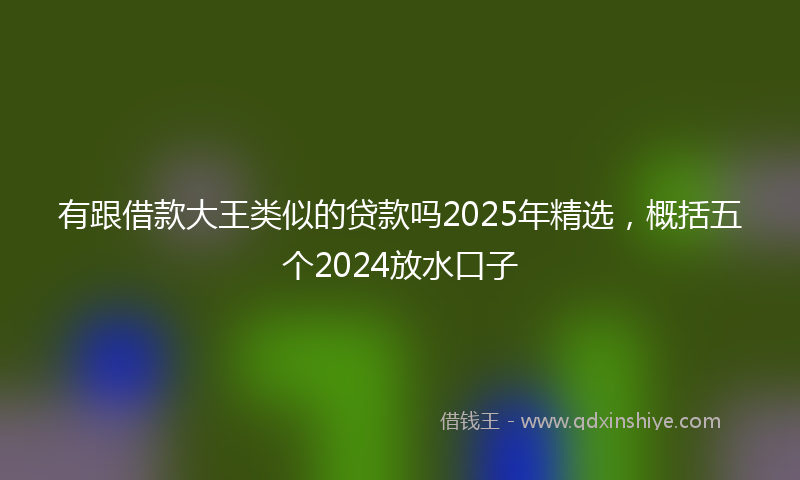 有跟借款大王类似的贷款吗2025年精选，概括五个2024放水口子