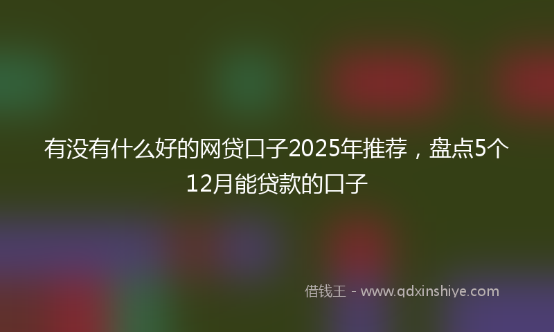 有没有什么好的网贷口子2025年推荐，盘点5个12月能贷款的口子