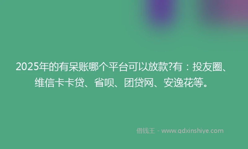 2025年的有呆账哪个平台可以放款?有：投友圈、维信卡卡贷、省呗、团贷网、安逸花等。