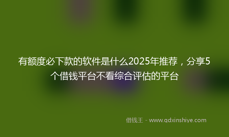 有额度必下款的软件是什么2025年推荐，分享5个借钱平台不看综合评估的平台