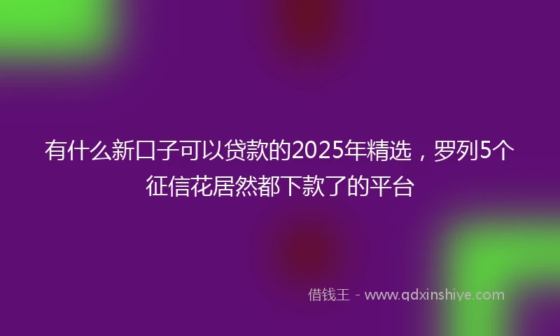 有什么新口子可以贷款的2025年精选,罗列5个征信花居然都下款了的平台