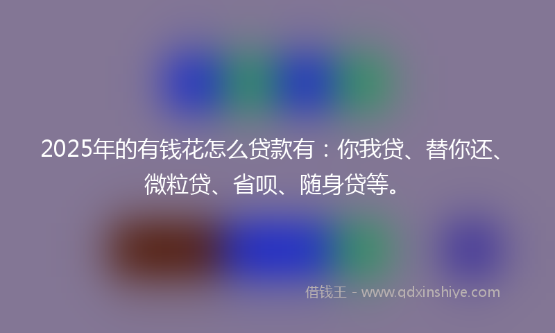 2025年的有钱花怎么贷款有：你我贷、替你还、微粒贷、省呗、随身贷等。