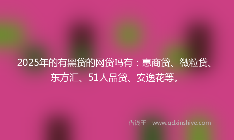 2025年的有黑贷的网贷吗有：惠商贷、微粒贷、东方汇、51人品贷、安逸花等。
