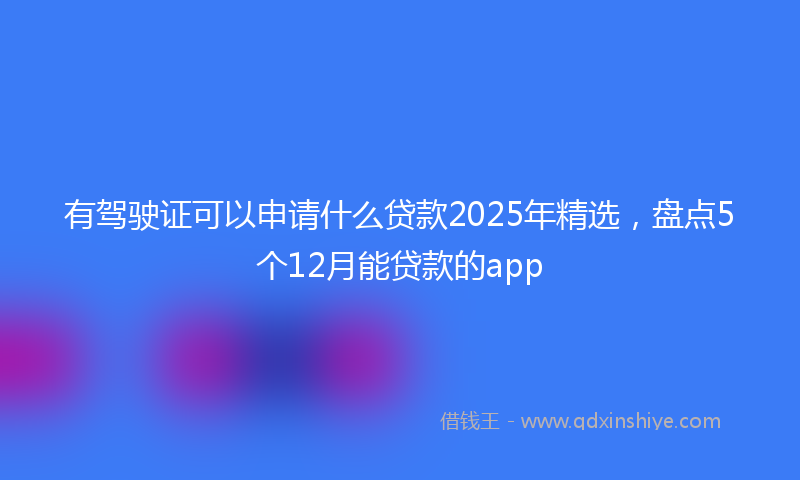 有驾驶证可以申请什么贷款2025年精选，盘点5个12月能贷款的app